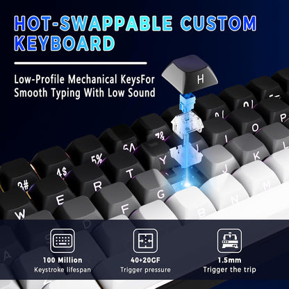 65% Gaming Keyboard, LED Backlit Mini Wired Keyboard, Ultra-Compact Anti-Ghosting No-Conflict 68 Keys Membrane Gaming Wired Keyboard for PC Laptop Windows Gamer(Gray-White)